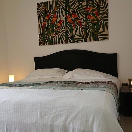 Surf Lookout - King Size En-Suite With Sea Views New Quay Dış mekan fotoğraf